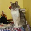 Отзыв от Софья Кириллова